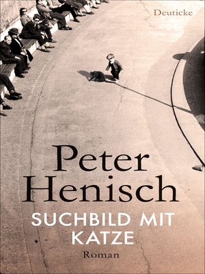 cover image of Suchbild mit Katze